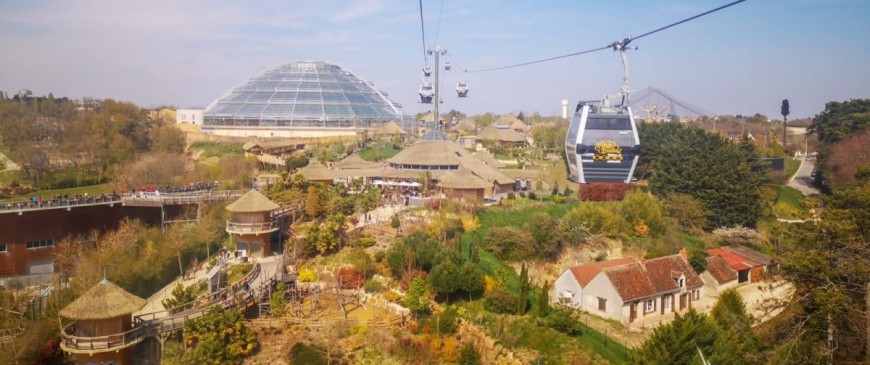 Guide complet pour un voyage autour du Zoo de Beauval