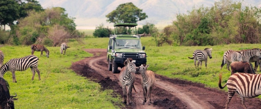 Les choses qu’on ne vous dit pas sur votre premier safari en Afrique