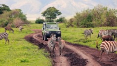 Faire un safari en Afrique