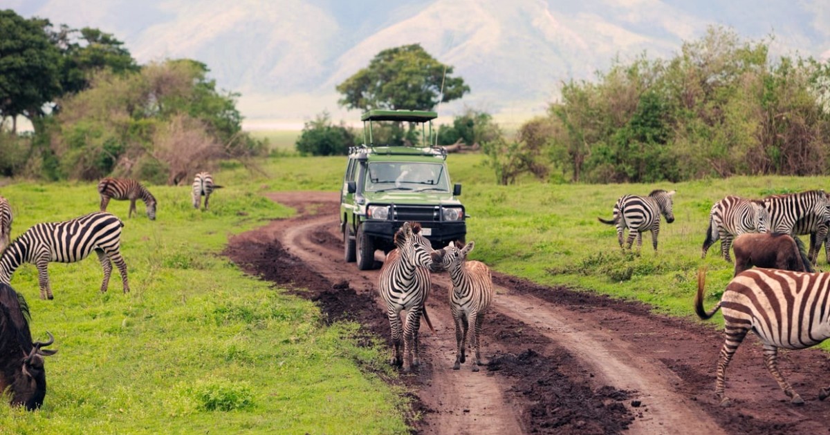pourquoi safari s'ouvre en petit