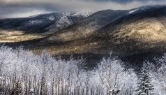 Quand partir au Québec