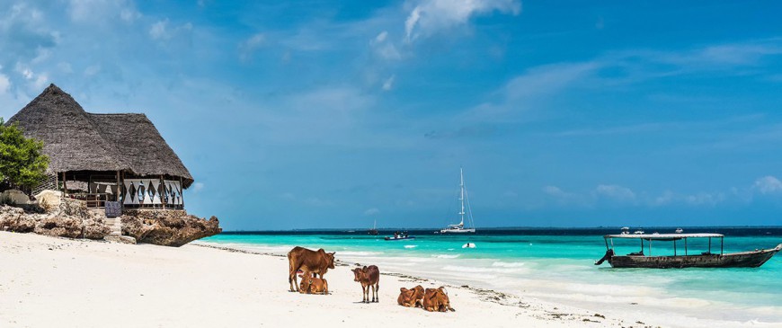 Des vacances à Zanzibar pour faire un voyage inoubliable cette année