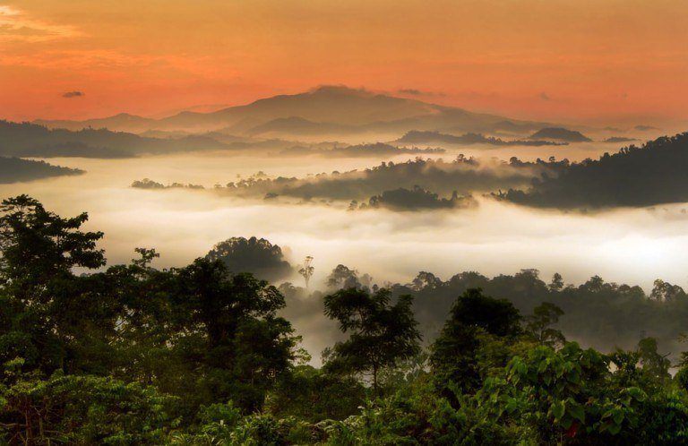 Danum Valley, Sabah