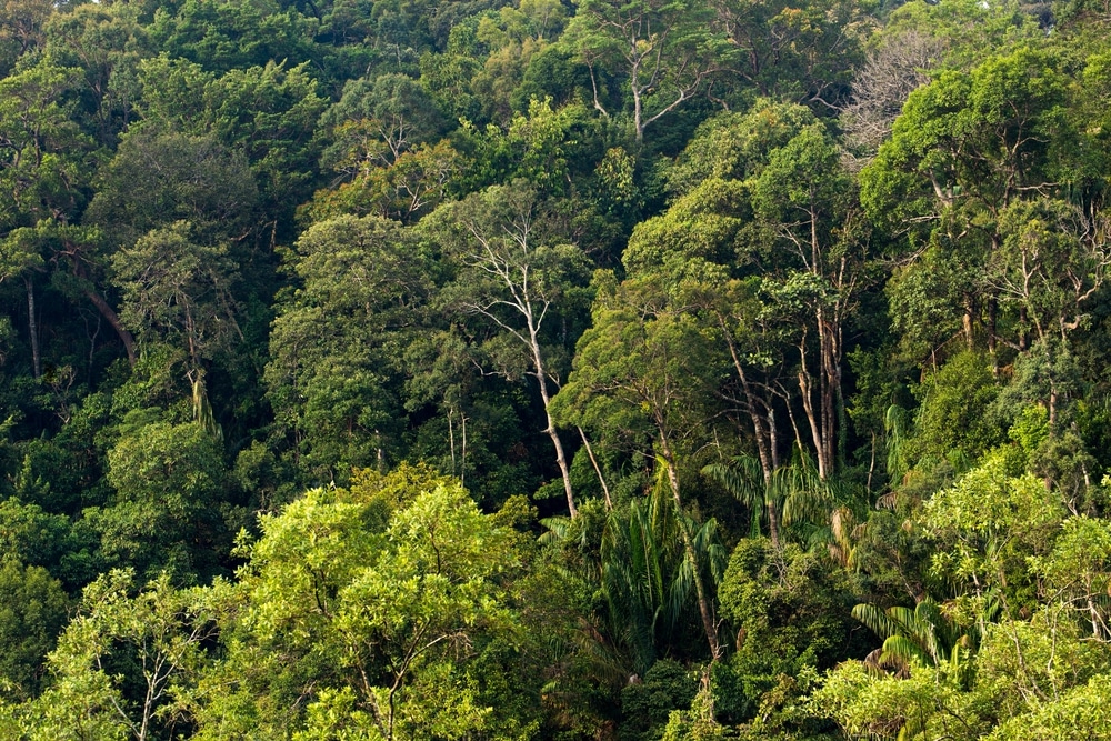 Bako National Park