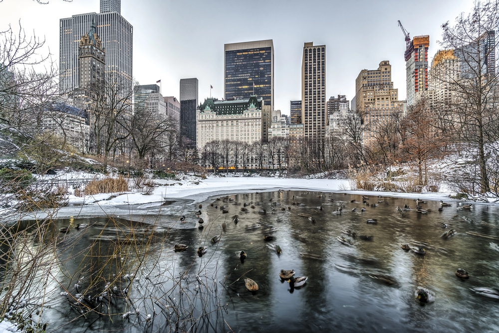Central Park, New York
