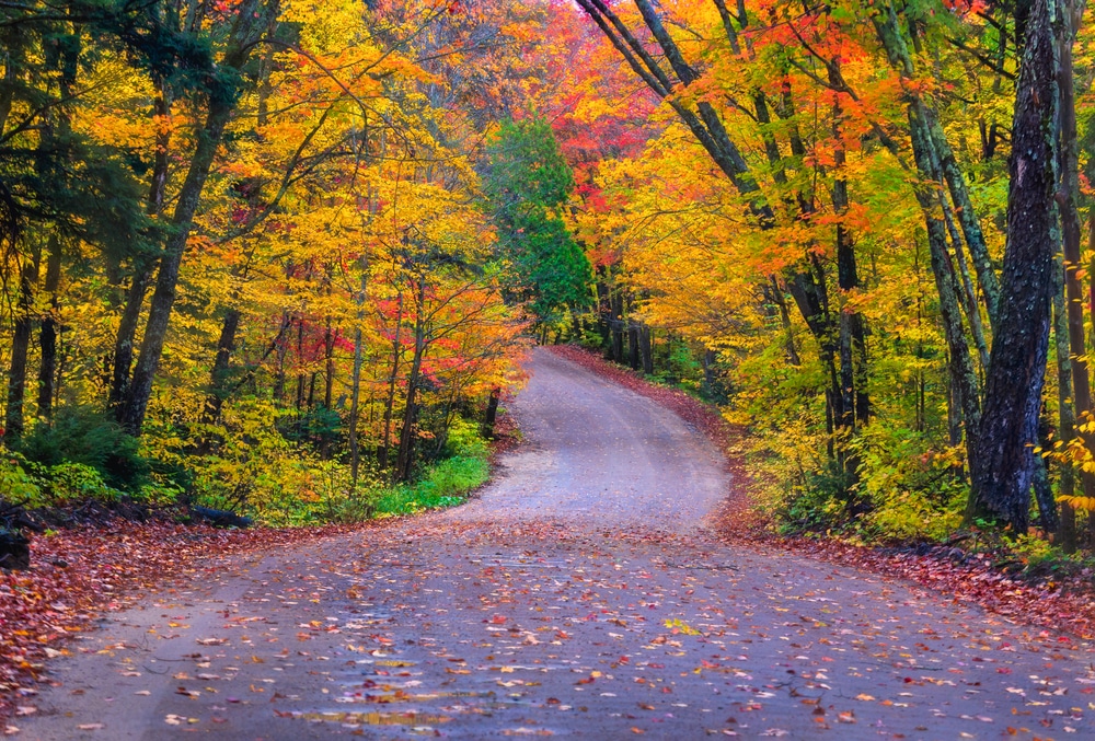 Couleurs d'automne à Algonquin, Ontario