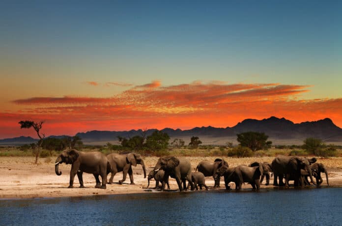 Destinations secrètes en afrique