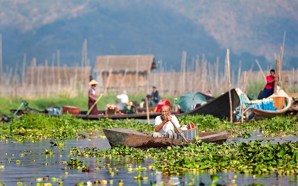 Jardins flottants sur le lac Inle