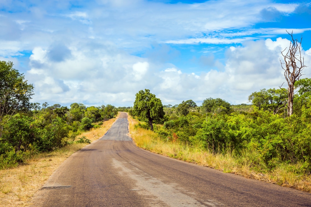 Le célèbre parc Kruger en Afrique du Sud