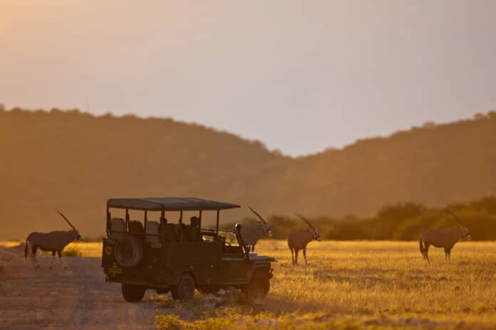 Safari en Afrique