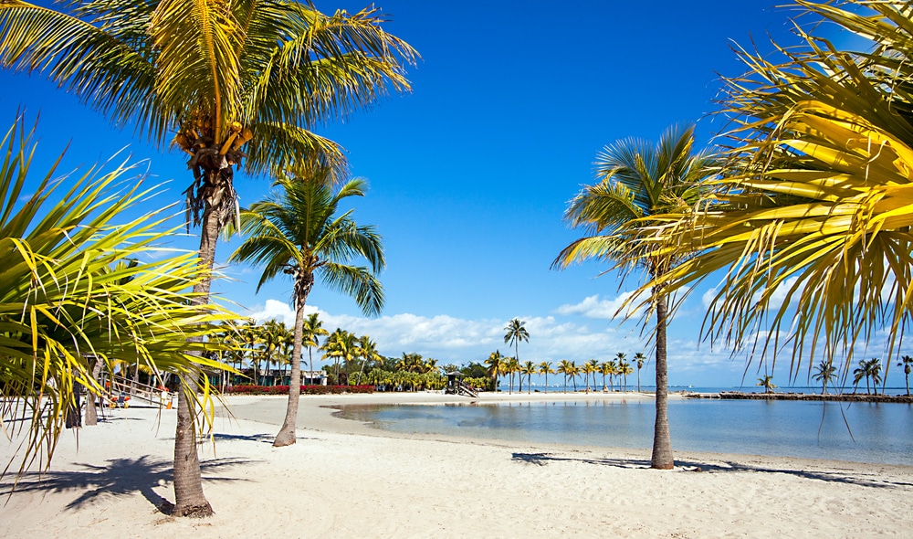 Matheson Hammock Park