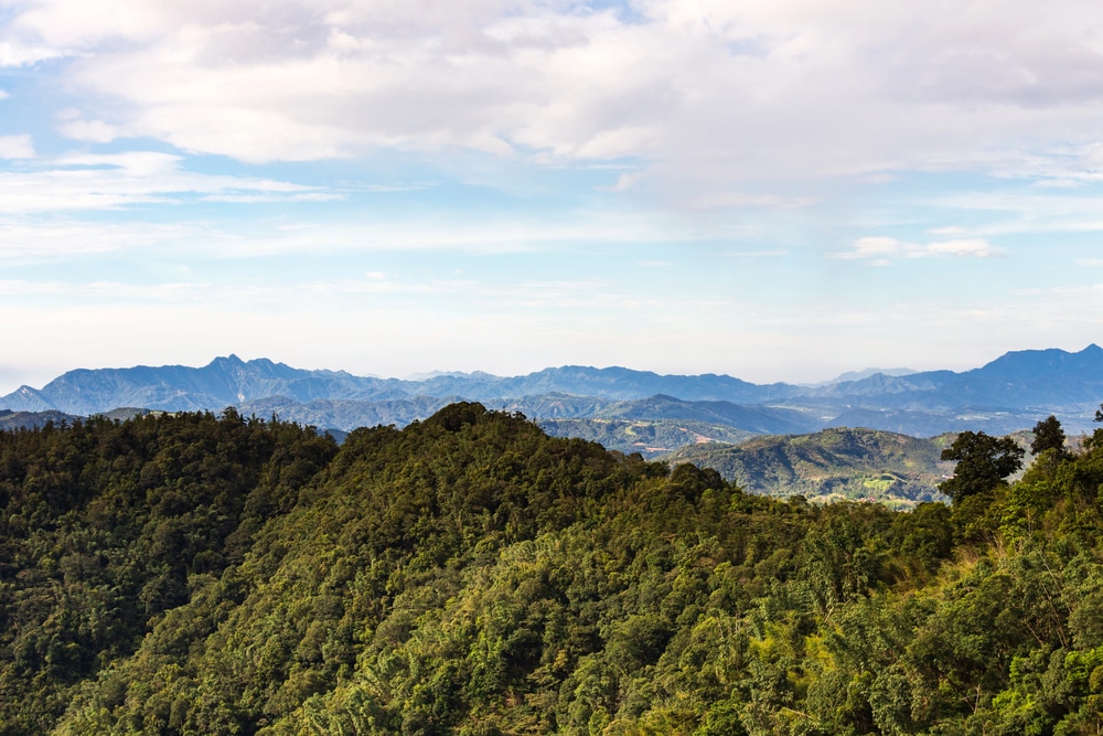Montagnes de la jungle dans le parc Kinabalu