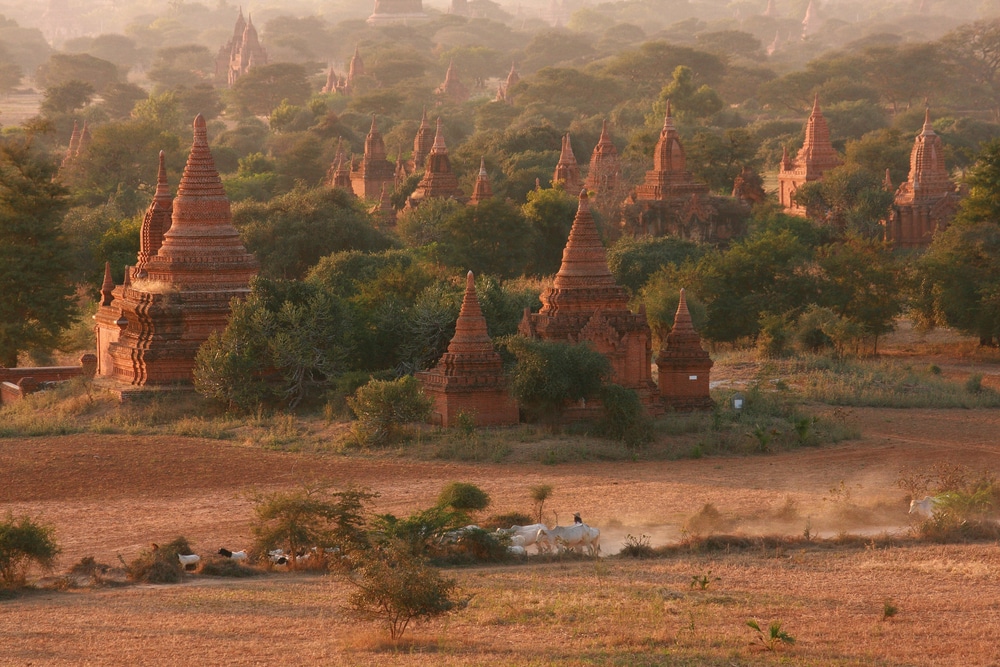 Pagodes, Bagan