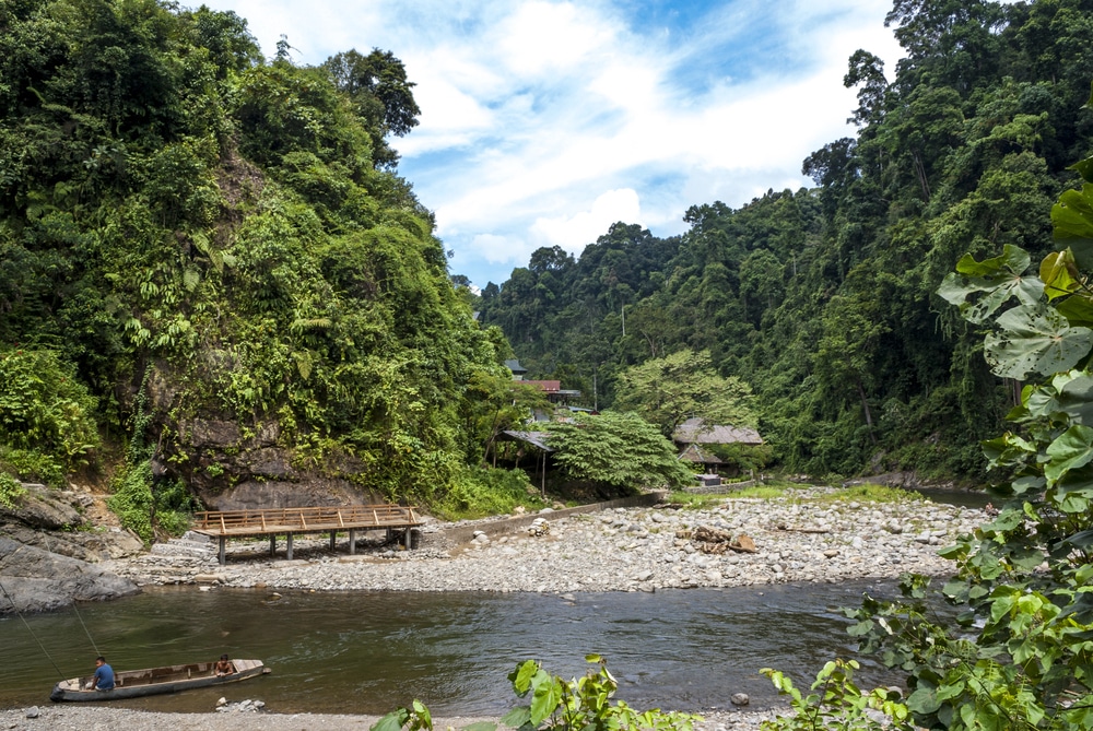 Parc national de Gunung Leuser