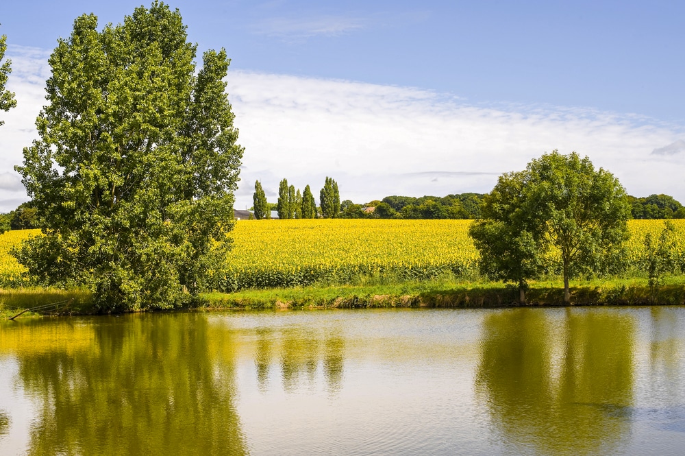 Pays de la Loire