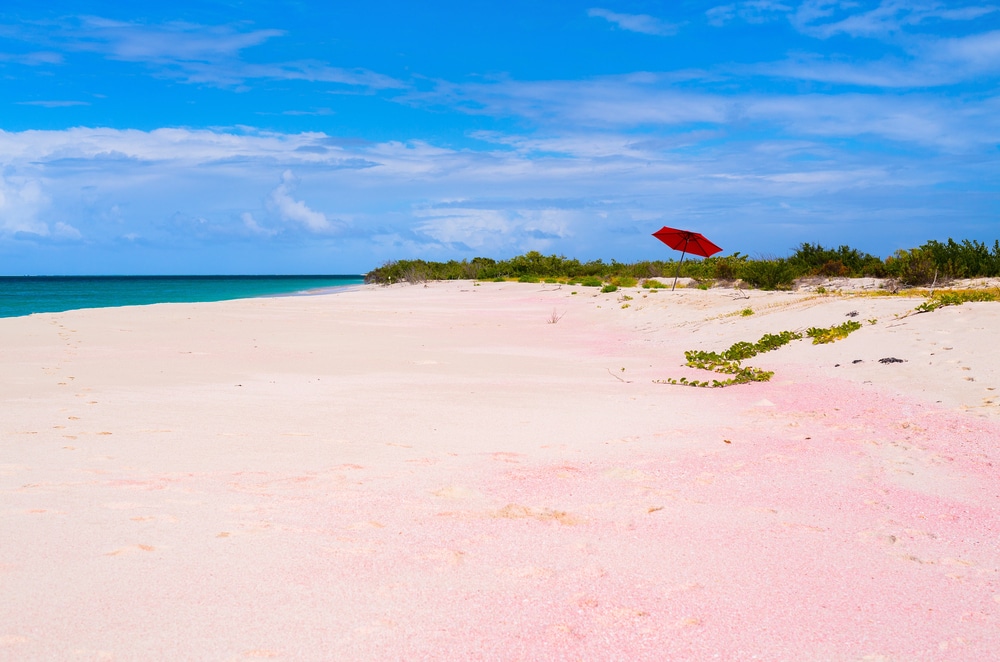 Pink Sands Beach – Bahamas