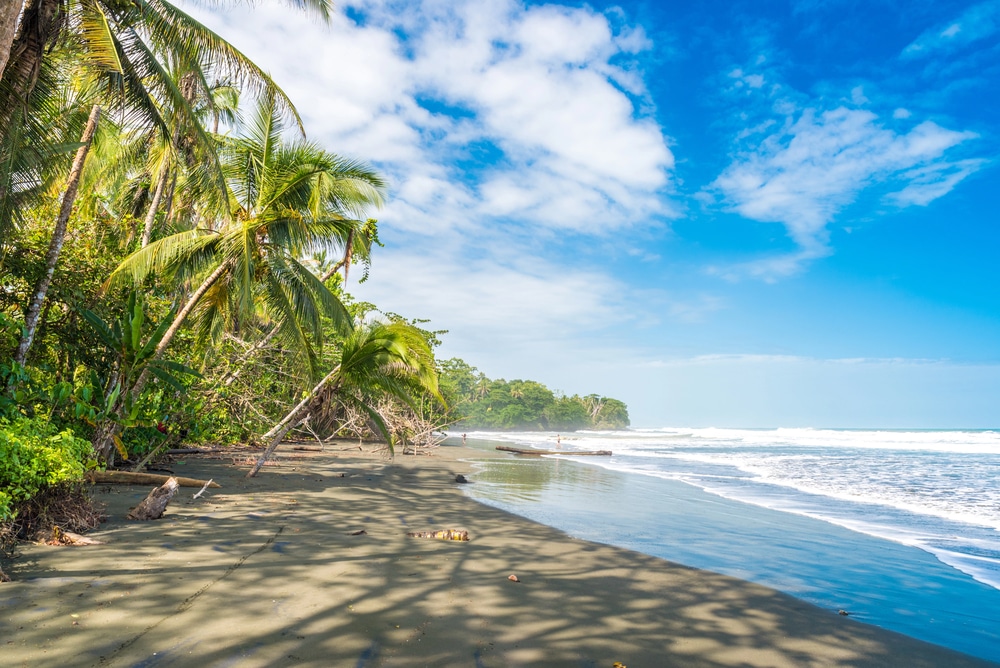 Playa Negra - plage noire à Cahuita, Limon, Costa Rica
