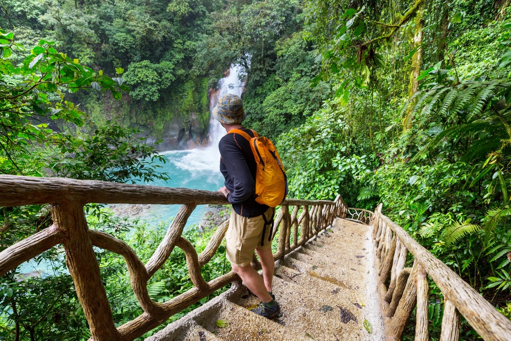 Randonnée dans la jungle tropicale verdoyante