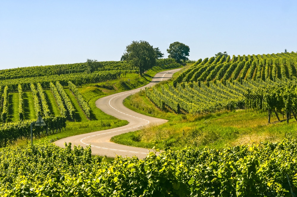 Randonnée en Alsace