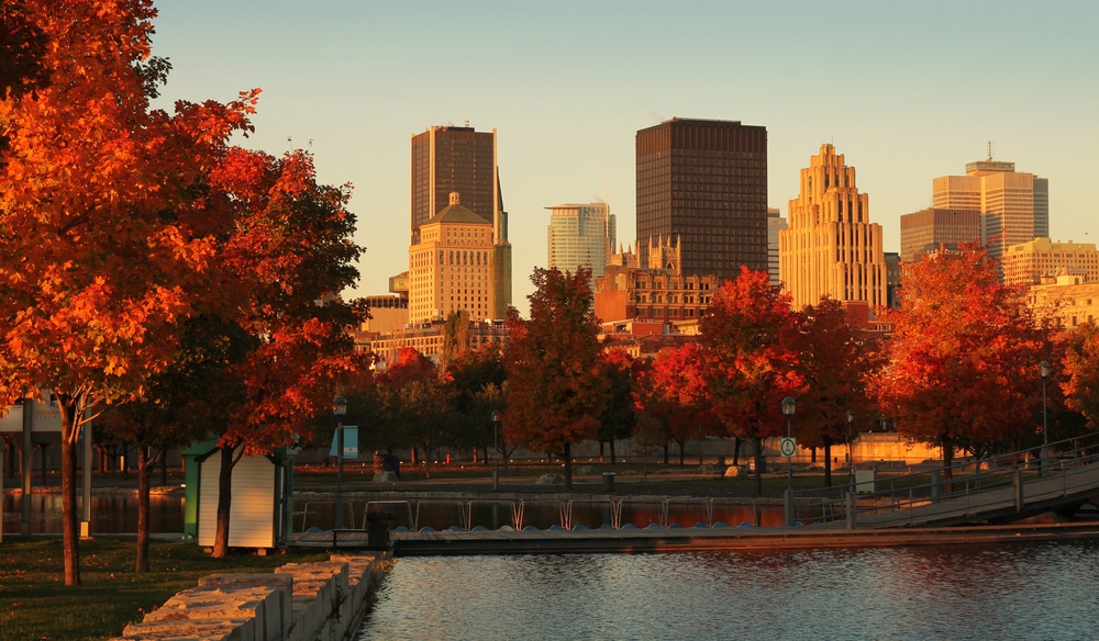 Ville de Montréal en automne