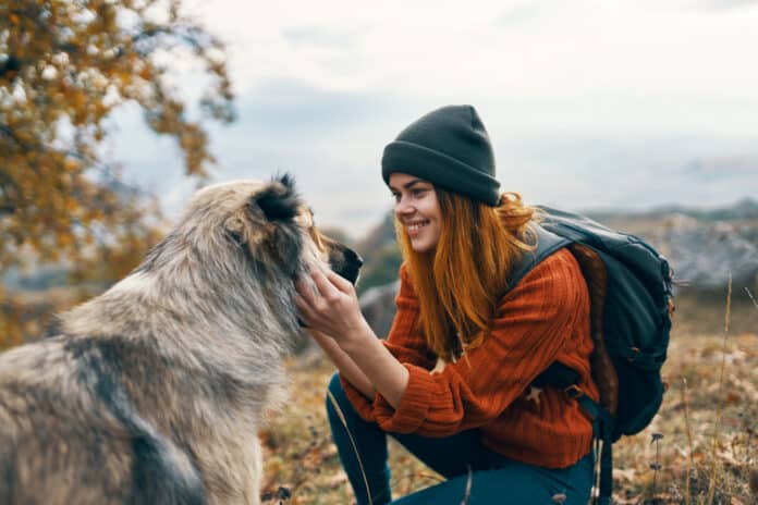 Voyager avec son chien