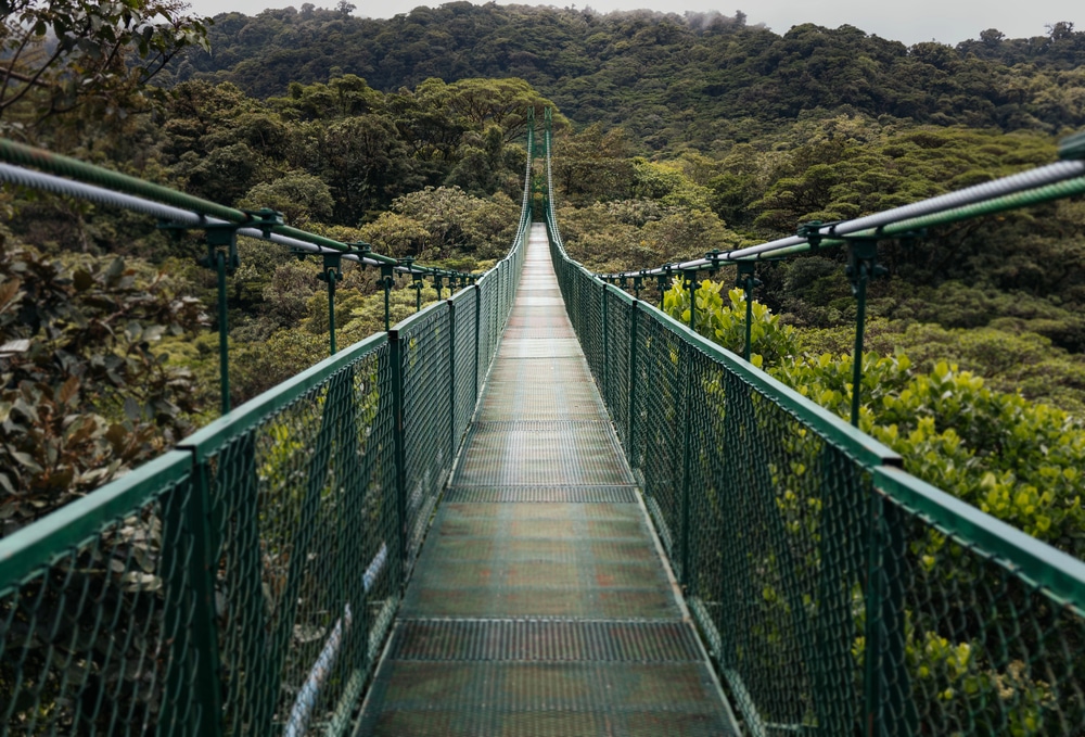 Vue de face d'un grand pont dans la jungle de Monteverde
