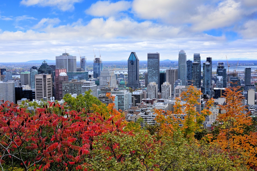 Vue sur les toits de la ville de Montréal avec les couleurs d'automne