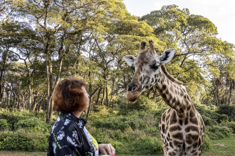 Femme lors d'un safari au Kenya