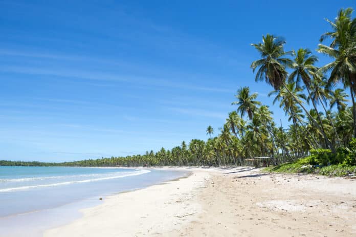 Les plus belles plages du Brésil