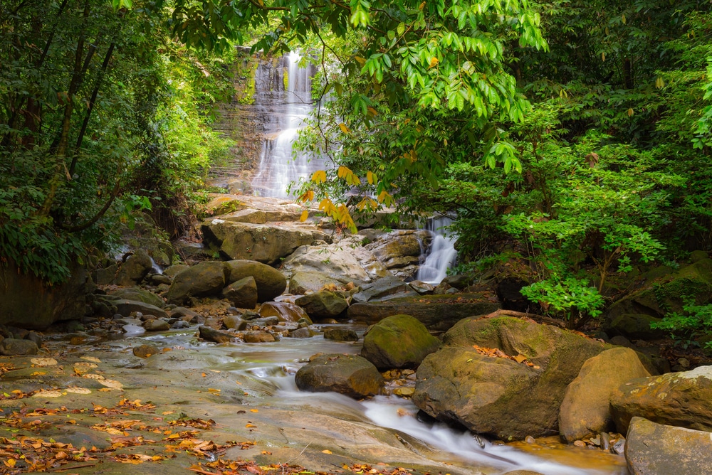 Le parc de Kubah