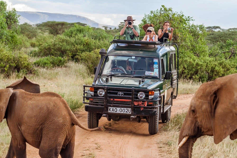 safari au Kenya