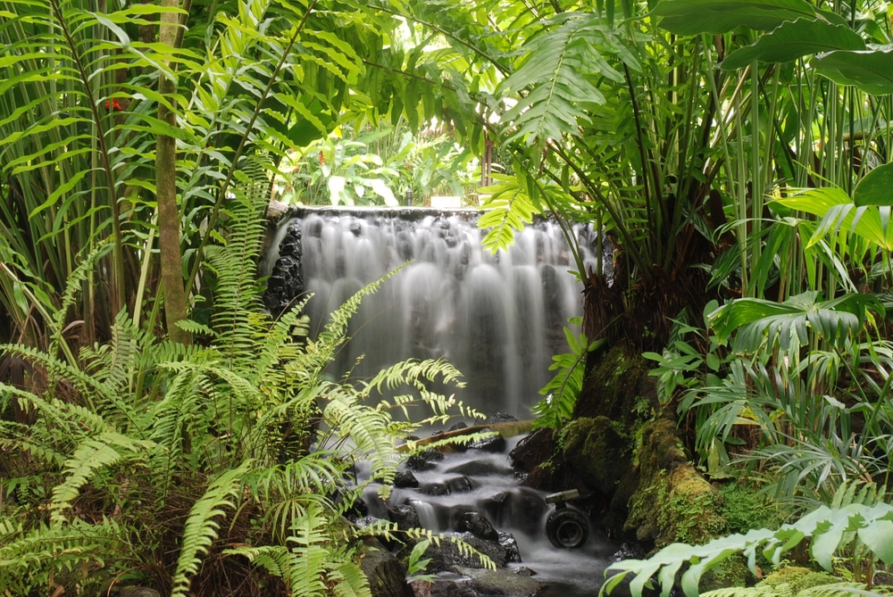 Source chaude en pleine jungle du Costa Rica