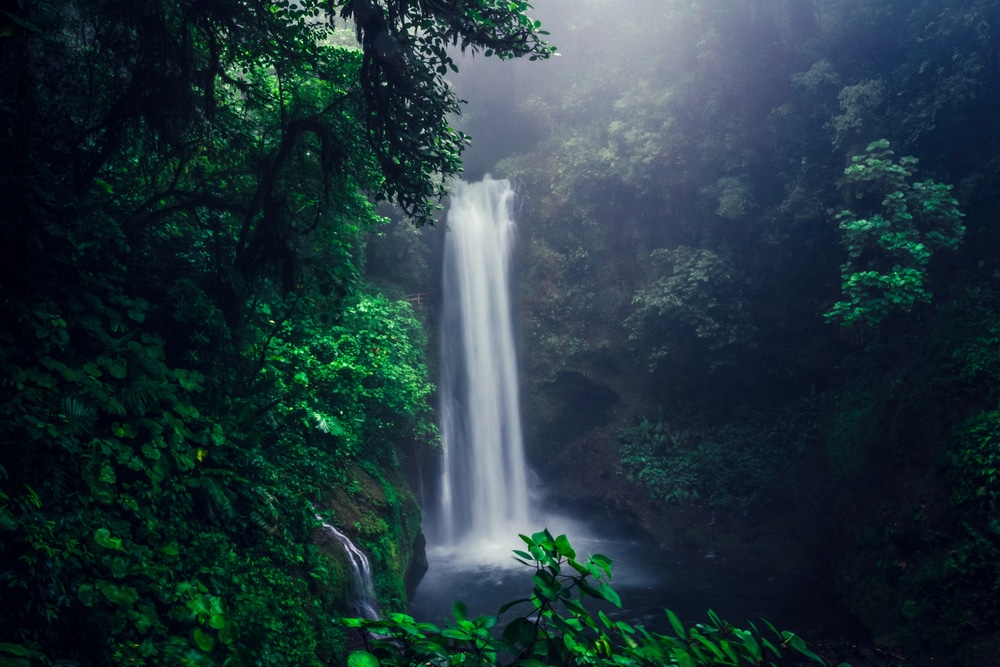Cascade au milieu de la jungle au Costa Rica