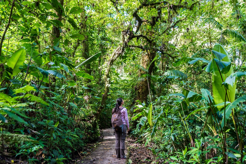 Une femme marchant dans une forêt nuageuse - Monteverde, Costa Rica