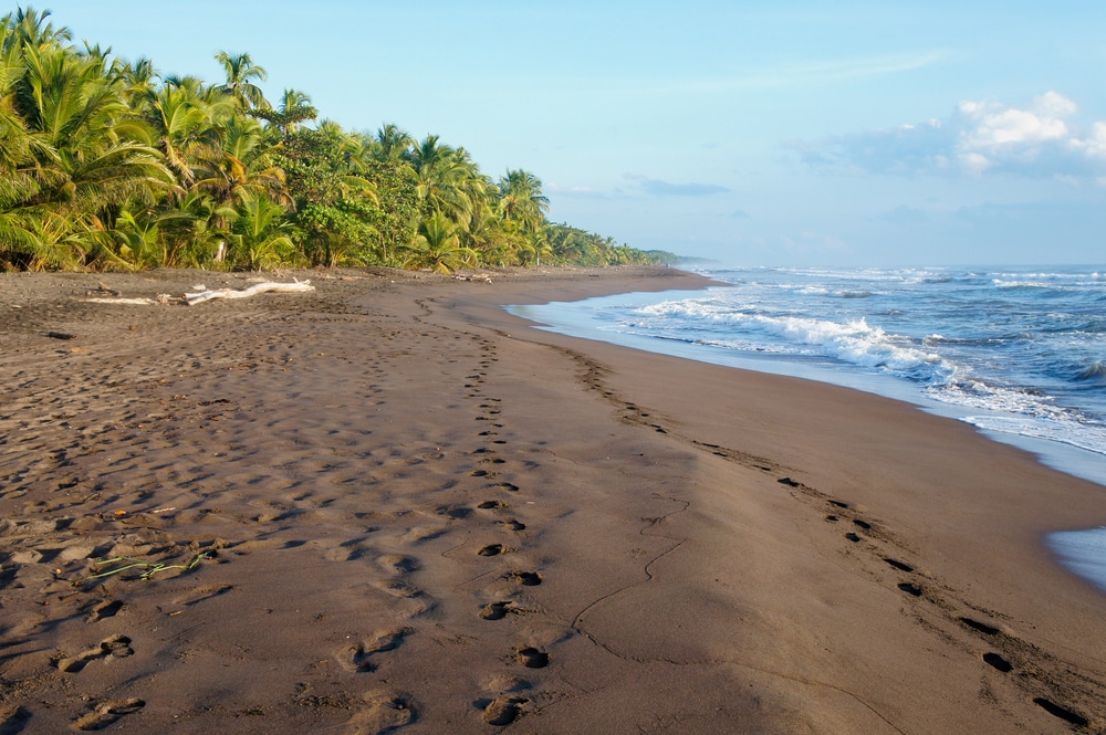 Plage de Tortuguero au lever du soleil