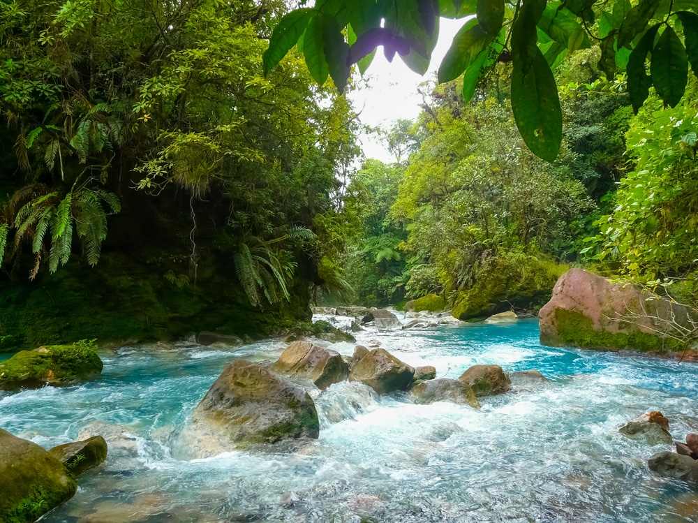 Rio Celeste dans le parc national du volcan Tenorio