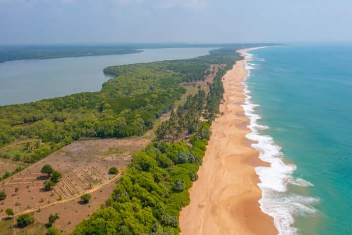 Voyage à Tortuguero