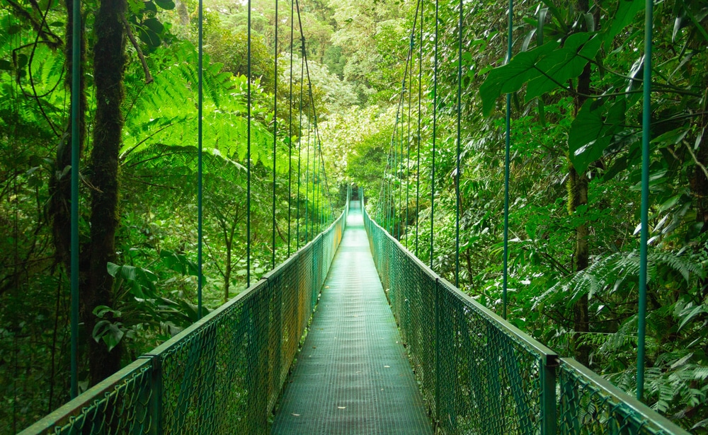 Pont suspendu de la forêt nuageuse de Monteverde